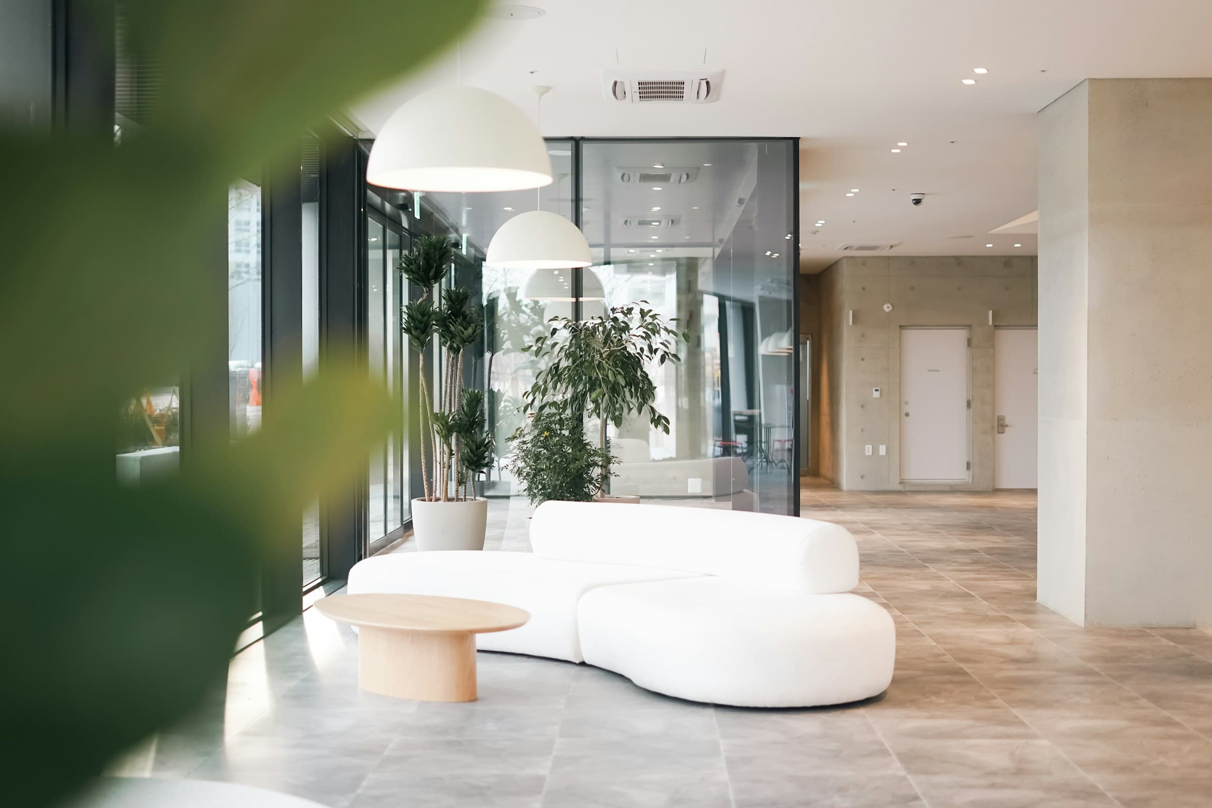 Recepção da clínica com madeira clara e plantas